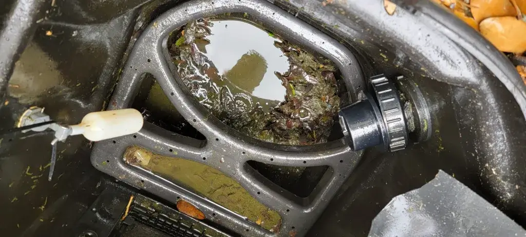 Koi Pond Clean Out Service Near Me